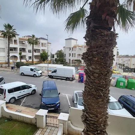 Cuti * Dehesa de Campoamor (Orihuela Costa)